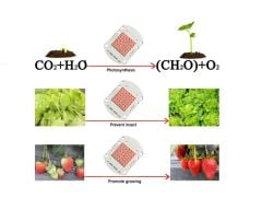 40W 30V 1350mA SMD 3030 Grow Full Spectrum 40x56mm