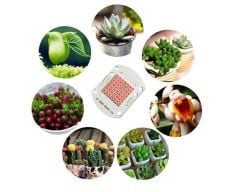 40W 30V 1350mA SMD 3030 Grow Full Spectrum 40x56mm