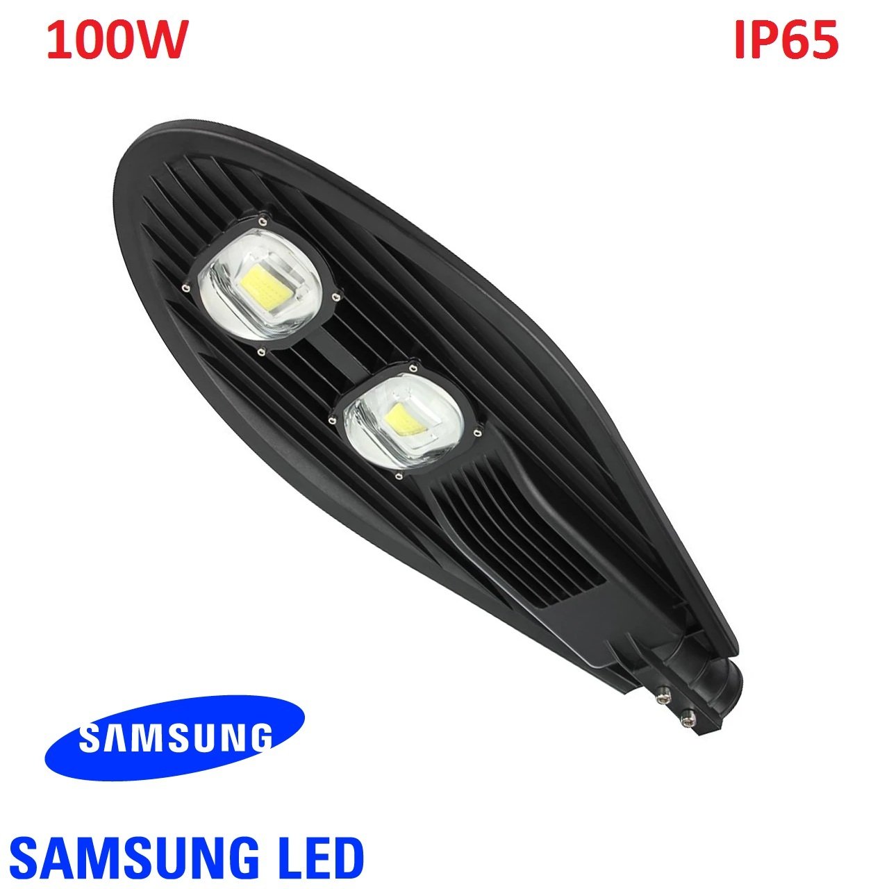 220V 100W Led Sokak Armatüt IP65